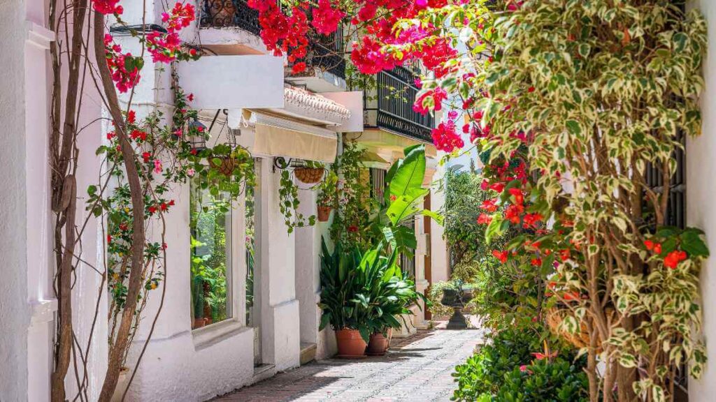 Marbella Tops List Best European Destinations